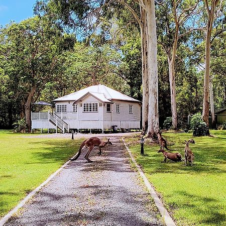 Lake Weyba Noosa Lodge & Kangaroos Peregian Beach Exterior photo