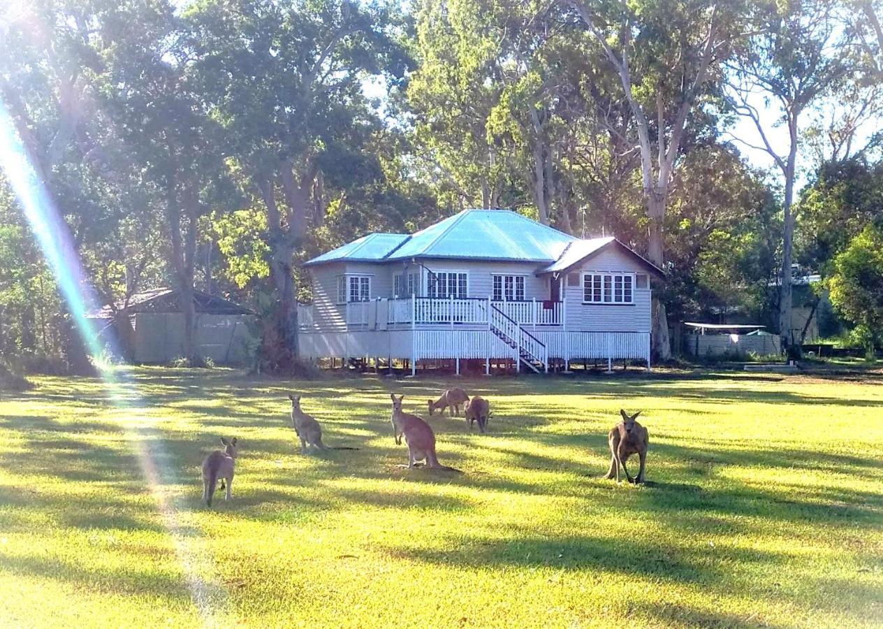 Lake Weyba Noosa Lodge & Kangaroos Peregian Beach Exterior photo