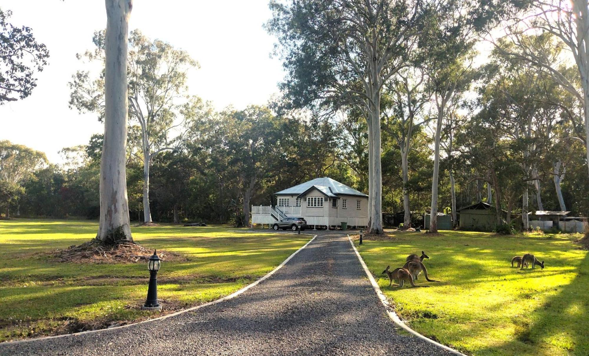 Lake Weyba Noosa Lodge & Kangaroos Peregian Beach Exterior photo
